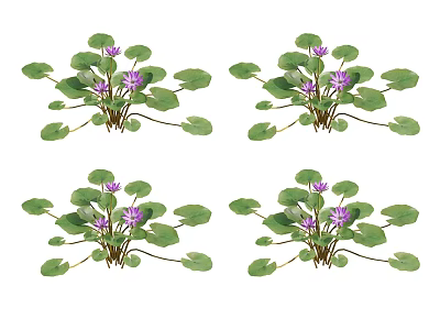 Aquatic Plants With Green Leaves And Purple Flowers For Water Garden Decoration 3d model