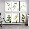 Multiple Framed Botanical Paintings Wall Art for Modern Interior with Green Plant Decor