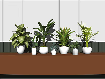 Various Green Potted Plants In White Pots On Brown Table With Wall Background 3d model
