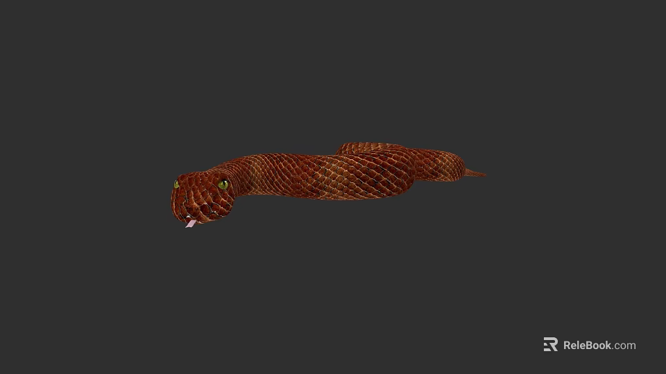 Brown Patterned Reptile Snake Slithering On Grey Background With Open Mouth 3d model 