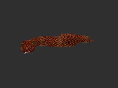 Brown Patterned Reptile Snake Slithering On Grey Background With Open Mouth 3d model