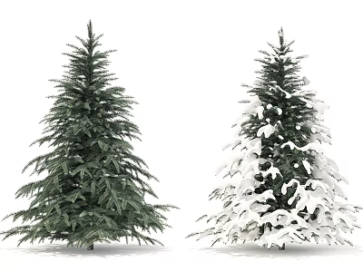 Two Evergreen Trees One Green and One Snow Covered Standing on White Background 3d model
