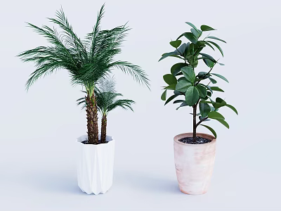 Indoor Palm And Broadleaf Plants In White Textured And Pink Marble Pots 3d model