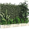 Lush Indoor Living Plant Wall With Various Green Foliage And Decorative Design