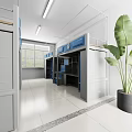 Modern Blue Gray Dormitory Room With Bunk Beds Desks Window And Green Plant