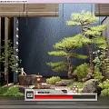 Japanese Courtyard Garden Design With Pine Tree Rocks Lantern And Greenery
