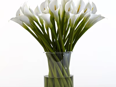 White Calla Lilies Arrangement In Transparent Glass Vase With Green Stems And Water 3d model