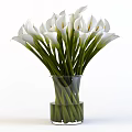 White Calla Lilies Arrangement In Transparent Glass Vase With Green Stems And Water