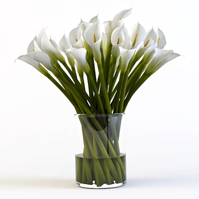 Flowers 3d model Flowers 3d model