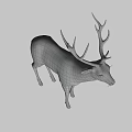 Realistic Brown Deer With Large Antlers Standing In Natural Pose