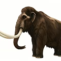 Woolly Mammoth With Brown Fur And Long Tusks In Standing Pose On White Background