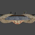Dusk Bone Shield 3d model