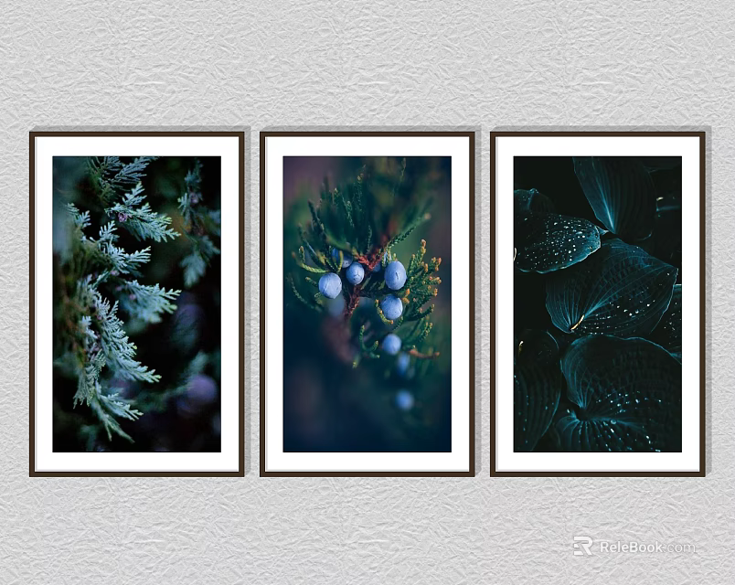 Framed Plant Paintings With Botanical Leaves And Berries As Wall Art Decor 3d model 