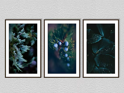 Framed Plant Paintings With Botanical Leaves And Berries As Wall Art Decor 3d model
