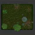 Realistic Forest Model Display With Various Evergreen Trees And Green Grass