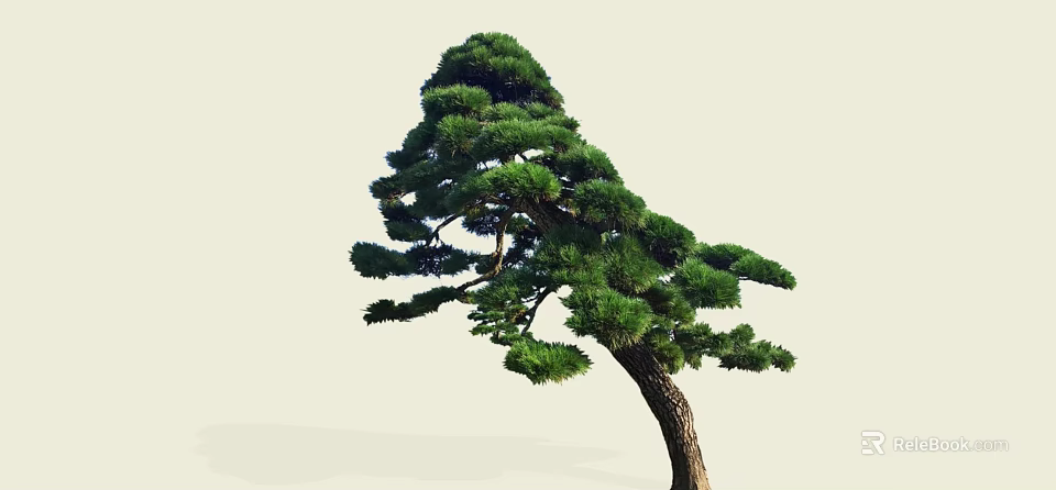 Elegant Pine Arbor With Unique Curved Trunk And Dense Green Foliage Design 3d model 