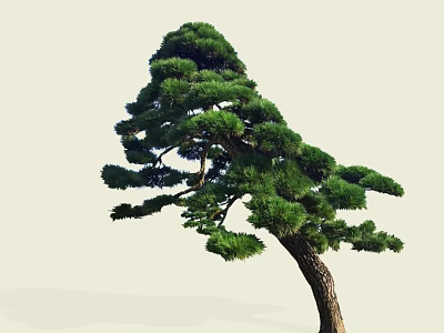 Elegant Pine Arbor With Unique Curved Trunk And Dense Green Foliage Design 3d model