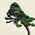 Elegant Pine Arbor With Unique Curved Trunk And Dense Green Foliage Design