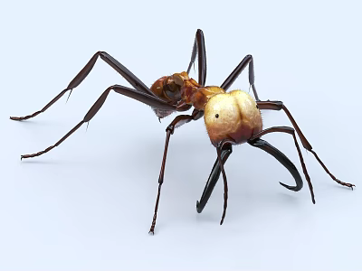 Brown And Yellow Reptile With Long Legs And Large Mandibles 3d model