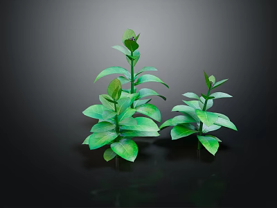 Two Green Plants With Lush Green Leaves Against Black Background 3d model
