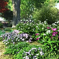 Vibrant Park Garden Landscape With Pink And White Flowers Lush Green Grass And Foliage