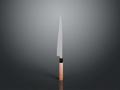 Sharp Kitchen Knife With Wooden Handle And Stainless Steel Blade For Cooking Use 3d model