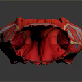 Red Decorative Pants With Floral Patterns And Waist Belt Design