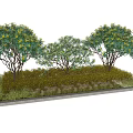 Lush Green Shrubs With Three Plants In Rectangular Planter And Ground Cover 3d model