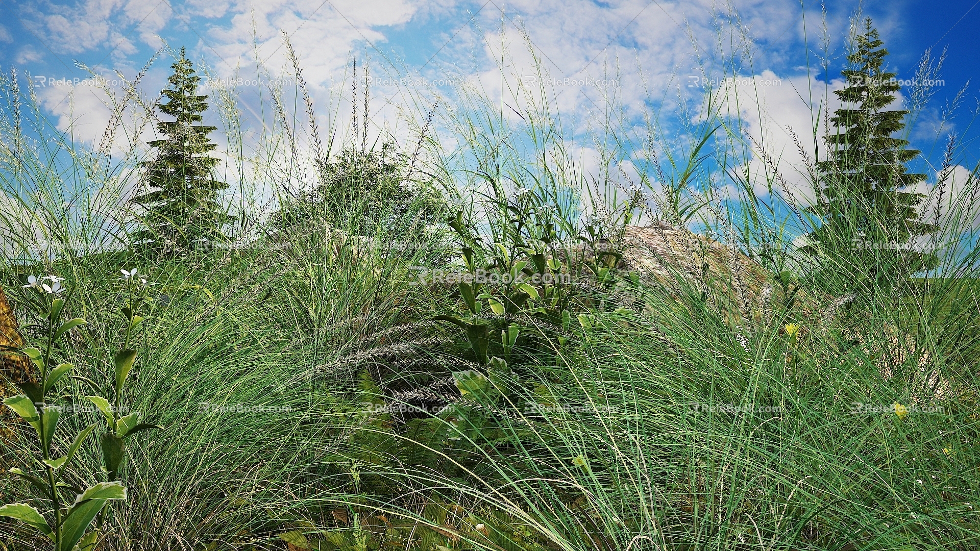 Modern Grass Wild Grass 3d model