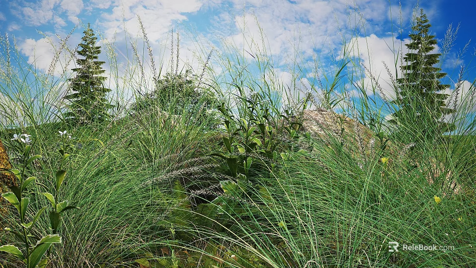 Natural Green Grass and Plants in Outdoor Scene With Blue Sky White Clouds and Trees 3d model 