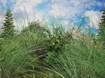 Natural Green Grass and Plants in Outdoor Scene With Blue Sky White Clouds and Trees 3d model