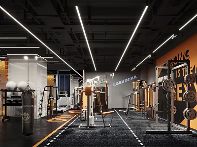 Modern Gym Interior With Various Fitness Equipment And Punching Bag 3d model