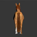 Brown Horse With White Face And Legs Wearing Bridle On Dark Reflective Background 3d model