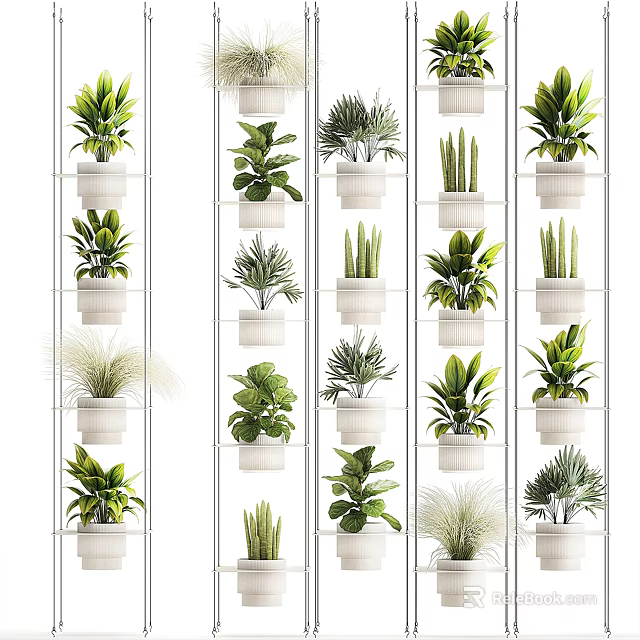 Indoor Potted Plants On White Multi Tiered Shelves With Diverse Green Foliage 3d model 