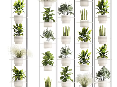 Indoor Potted Plants On White Multi Tiered Shelves With Diverse Green Foliage 3d model