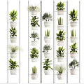 Indoor Potted Plants On White Multi Tiered Shelves With Diverse Green Foliage