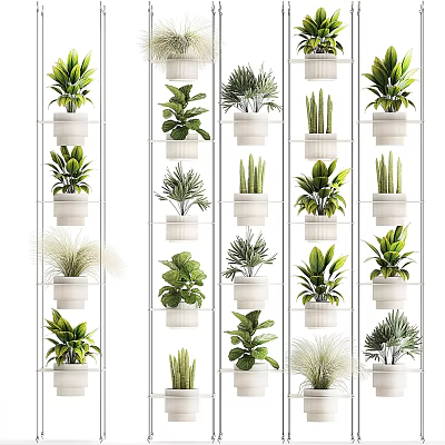 Indoor Potted Plants On White Multi Tiered Shelves With Diverse Green Foliage 3d model