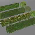 Modern Shrub Hedgerow Square Shrub Greenbelt Plant Combination 3d model