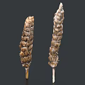 Dried Food Spike Plants With Brown Scaly Surface And Stem Base 3d model