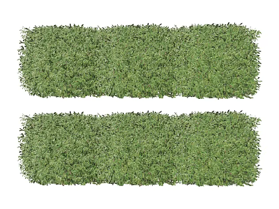 Plant Shrubs 3d model