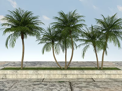 Tall Palm Trees In Landscaped Space With Green Foliage Stone Pathway And Clear Blue Sky 3d model