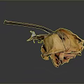Natural Dried Rose Plant with Orange Yellow Wilted Petals on Gray Background