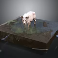 White Cow Standing On Square Platform With Grass Water Puddle And Rock