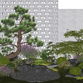 Courtyard Garden With Curved Pine Tree Purple Flowers Green Shrubs And Pebble Ground