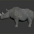 Gray Horned Rhinoceros With Rough Skin Standing On Dark Reflective Surface