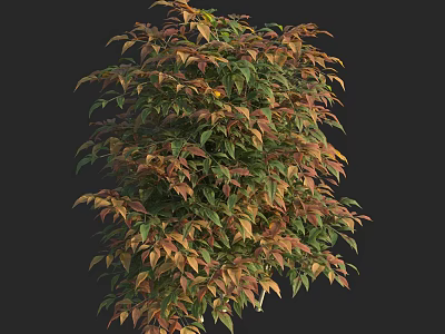Lush Arbor With Vibrant Green And Red Foliage In Natural Background 3d model