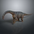 Realistic 3D Dinosaur Model With Long Neck Tail Gray Skin And Standing Pose
