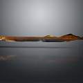 Long Slender Brown And Orange Fish With Reflective Surface On Gray Background