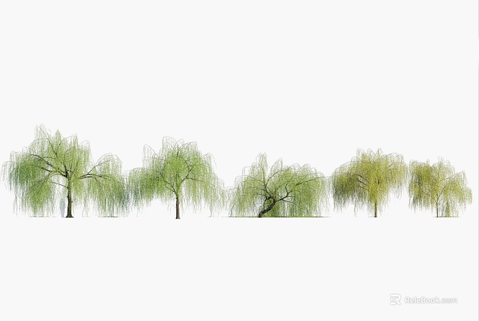 Row of Willow Trees with Weeping Branches and Lush Green Leaves 3d model 