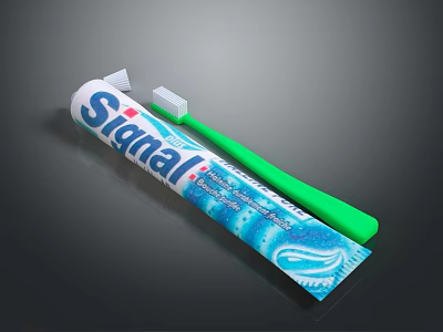 Signal Toothpaste With Green Toothbrush For Daily Oral Care Routine 3d model